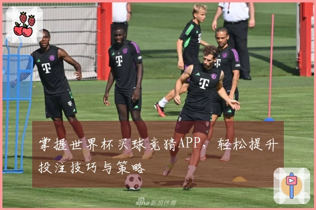 掌握世界杯买球竞猜APP，轻松提升投注技巧与策略