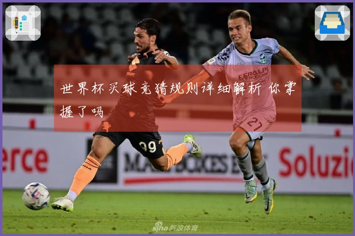 世界杯买球竞猜规则详细解析 你掌握了吗