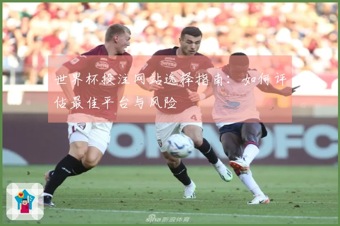 世界杯投注网站选择指南：如何评估最佳平台与风险