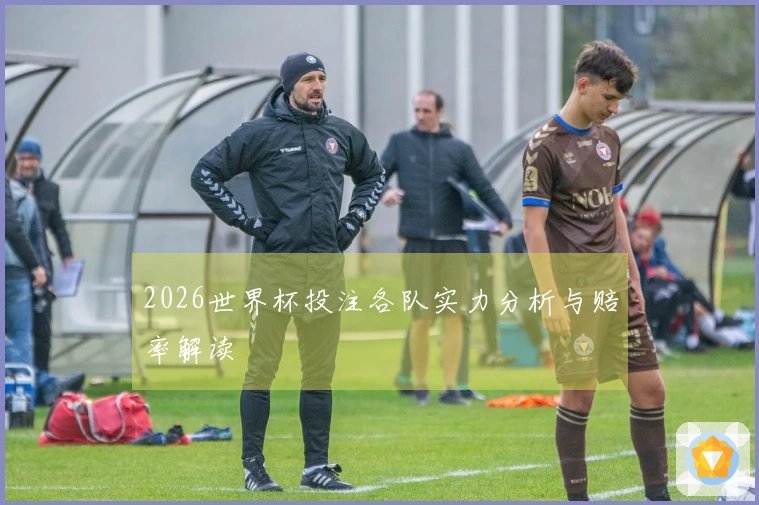 2026世界杯投注各队实力分析与赔率解读