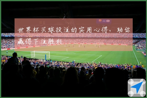 世界杯买球投注的实用心得，助你赢得下注胜利