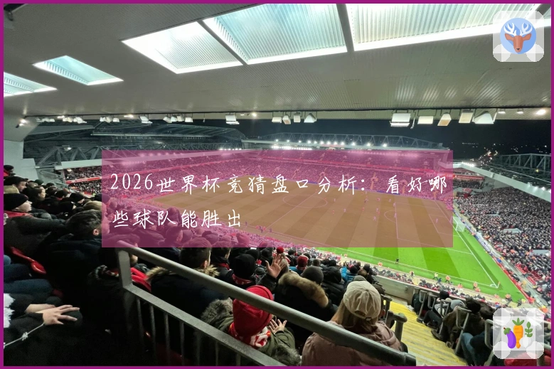 2026世界杯竞猜盘口分析：看好哪些球队能胜出