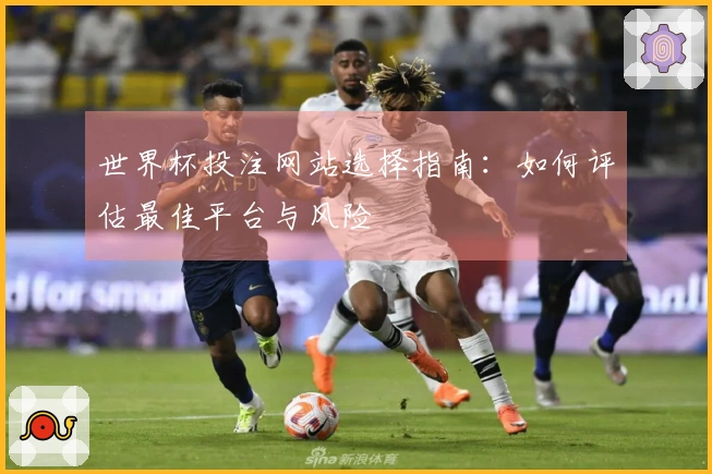 世界杯投注网站选择指南：如何评估最佳平台与风险