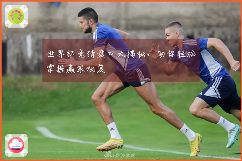 世界杯竞猜盘口大揭秘，助你轻松掌握赢家秘笈